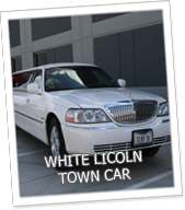 Edmonton Limo White Lincoln